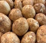 Brushed White Potato (per KG | website )