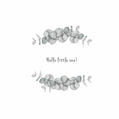 Feathers & Foliage Hello Little One Card
