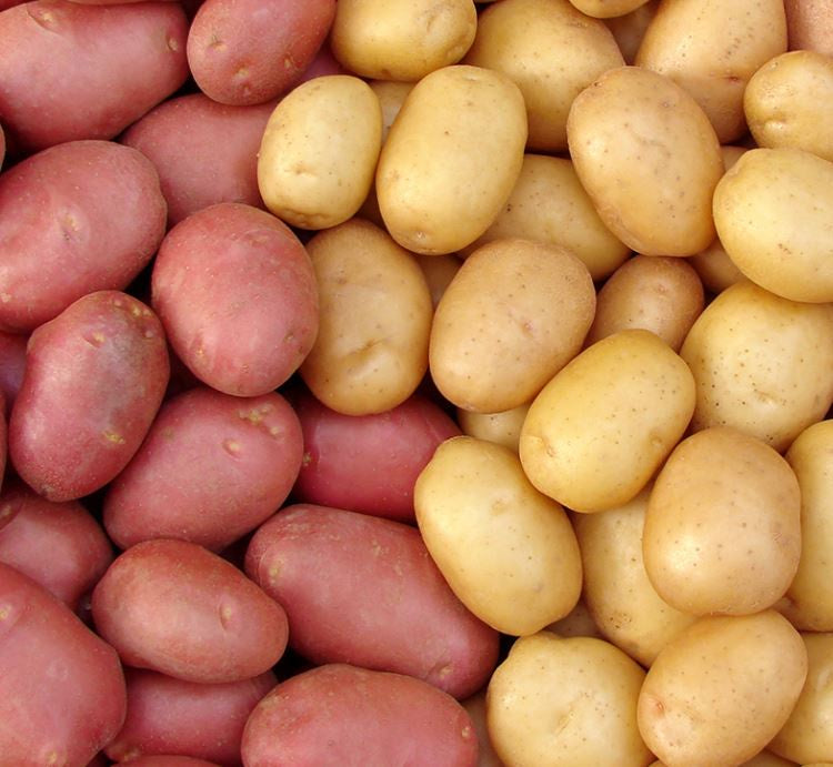 Potatoes Washed pack Shop