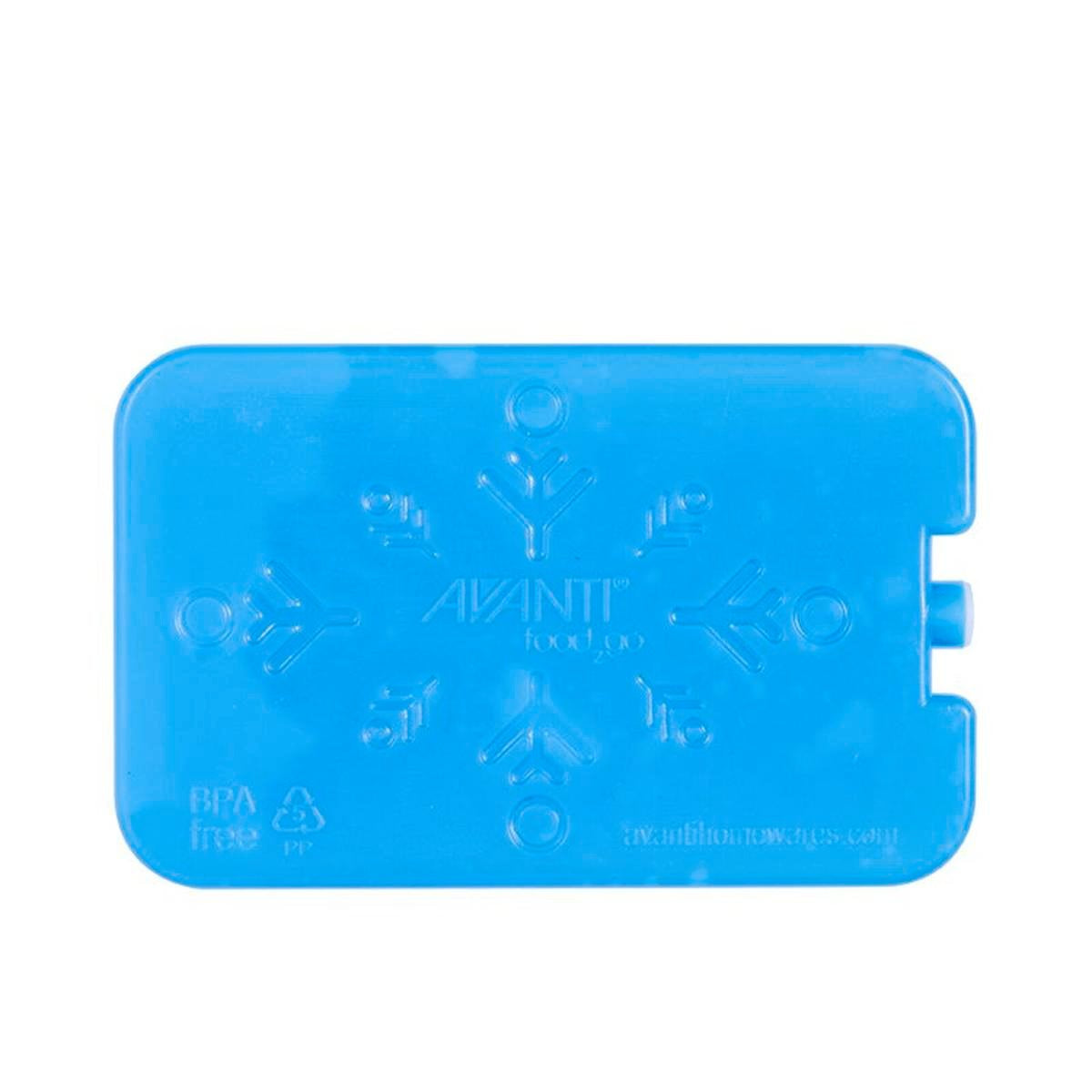 Avanti Gel Ice Brick Set Of 2