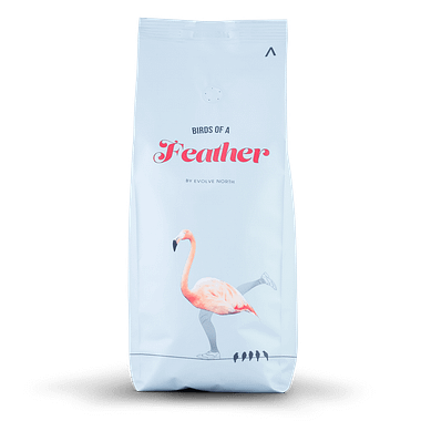 Evolve North Coffee Beans Birds of a Feather 500g