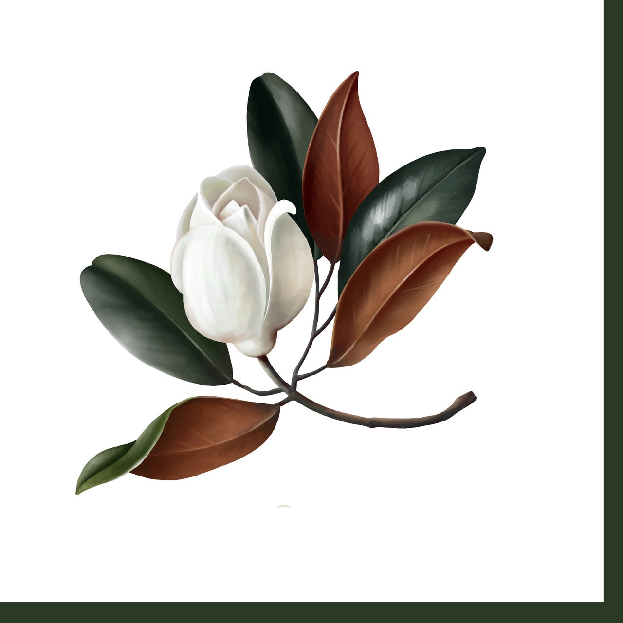 Magnolia 40cm Tissue Napkin 20pk
