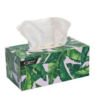 Capri Facial Tissues 2Ply 200sheets