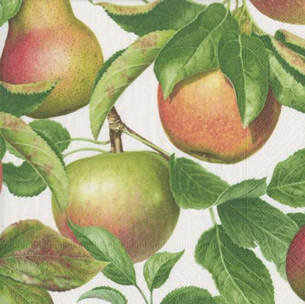 Apple Orchard 33cm Tissue Napkin 20pk