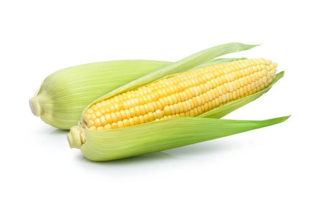Corn Cob twin pack